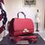 MOYNAT Leather flap bag