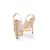 Light Pink Lamb Leather Gold Platform Slingback Pump