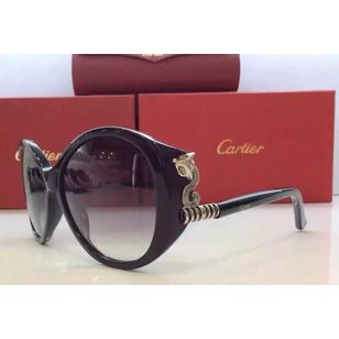 fashion sunglasses