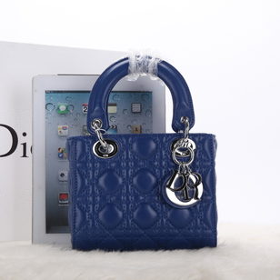 Lady dior