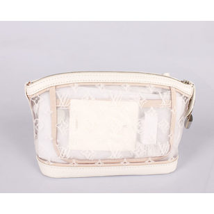 Transparent Lockit Clutch