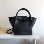 Celine SMALL BIG BAG WITH LONG STRAP