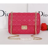 Dior Quilting leather chain bag