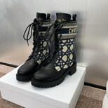 Dior D-major boots