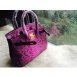 Hermes Birkin 25 real snake leather top grade