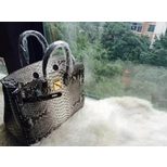 Hermes Birkin 30 real snake leather top grade