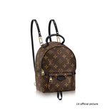 Louis Vuitton PALM SPRINGS BACKPACK MINI