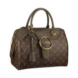 Louis Vuitton Speedy Golden Arrow