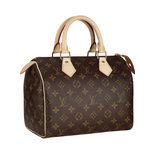 Louis Vuitton Speedy 25