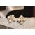 pearls diamond double c earrings